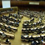 فعالیت‌های انجمن ملل متحد ایران در سال 1388